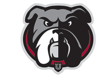 Union University Baseball